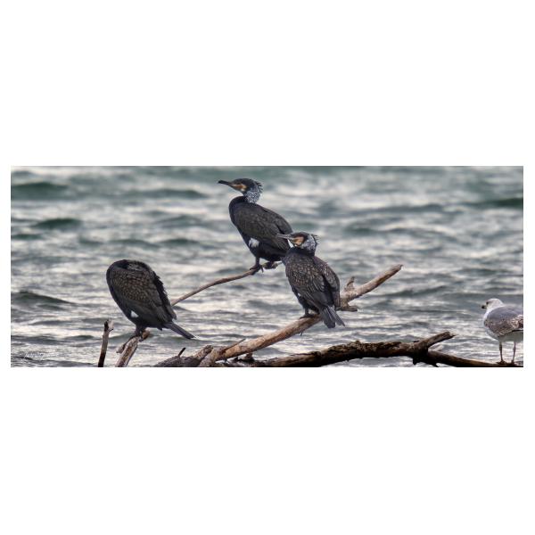 PHOTO84, CLUB, 84 , LUBERON